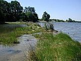 Natural Meander